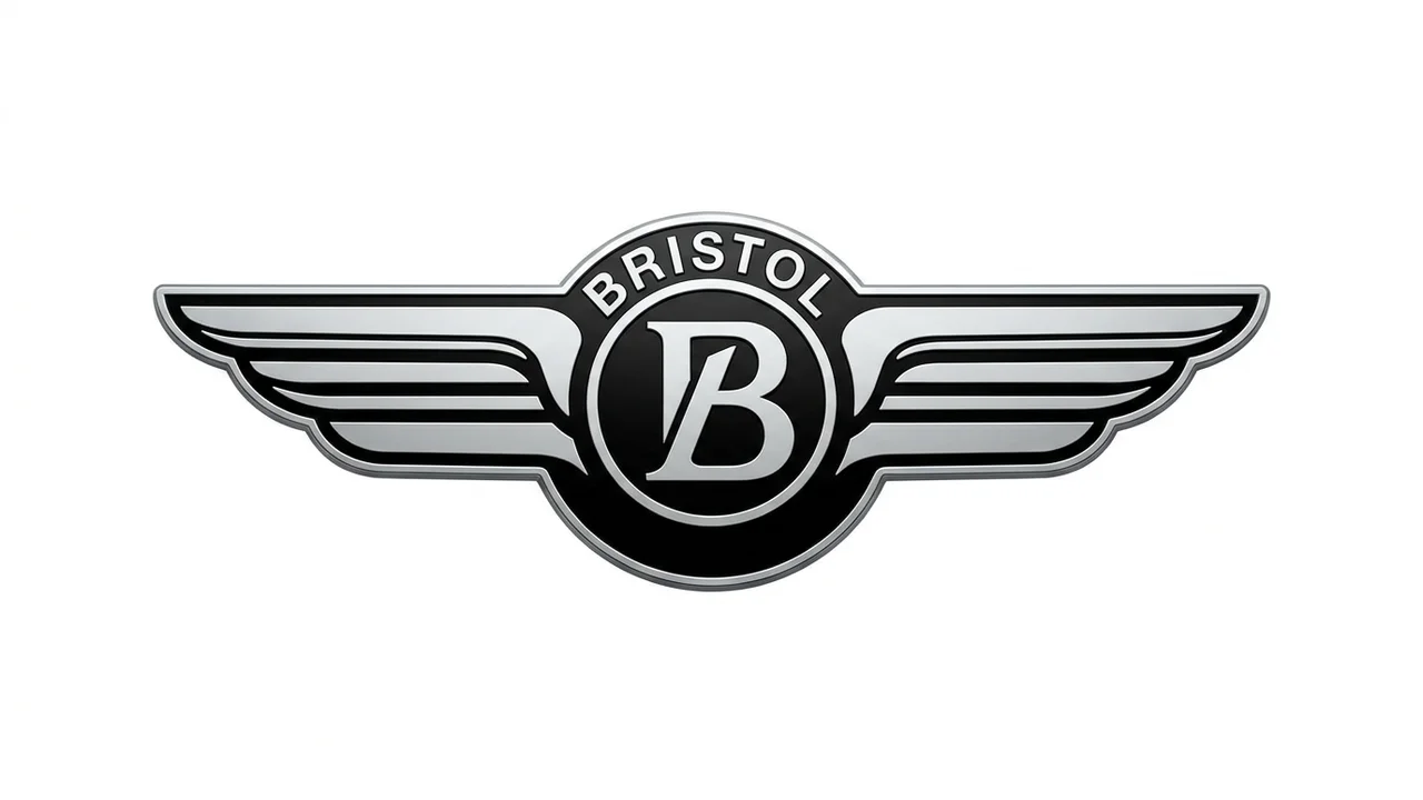 Beste Bristol viskerblad | Visker Pro - 1