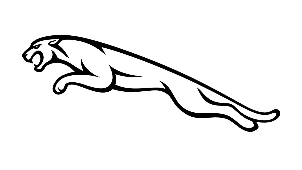 Beste Jaguar viskerblad | Visker Pro - 1